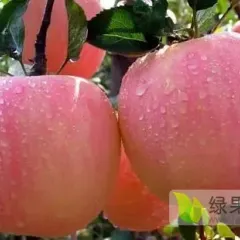 诚信代办，不欺不骗