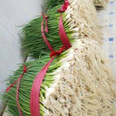 香葱，小葱，自产自销