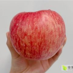 红富士大量供应～有意联系