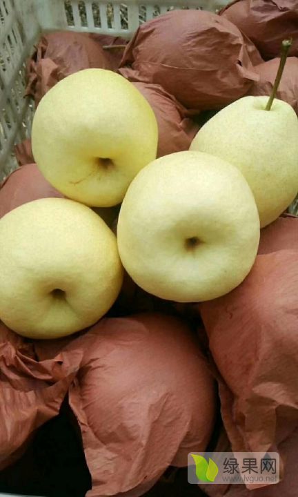 2021年山西隰县酥梨价格