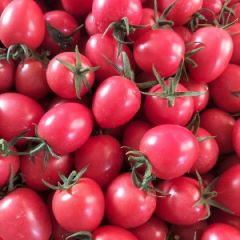 山东省聊城市莘县千禧圣女果粉贝贝