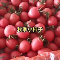 樱桃西红柿千禧圣女果