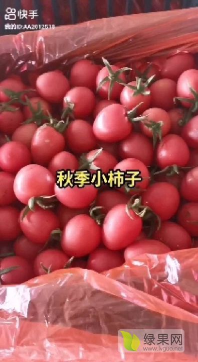 2021年山东莘县千禧果价格
