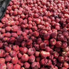 大量供应 需要的联系