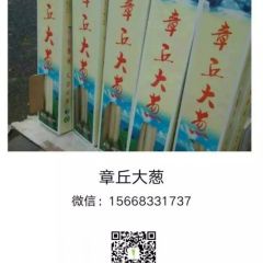 2021年章丘大葱上市精品礼盒装全国发货
