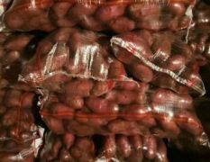 红土豆大量出货！皮色好，薯型正，可根据标准发原包货、翻包货！