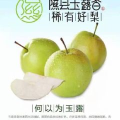 玉露香梨 正宗的玉露香梨