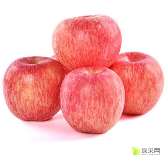 2021年陕西黄龙红富士价格