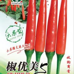 高产抗病新一代大果型艳红朝天椒---椒优美！