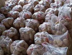 东台外地土豆长期大量供应