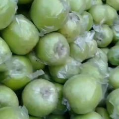 大量红富士，王林苹果出售