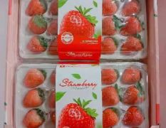 奶油草莓代收代发质量保证