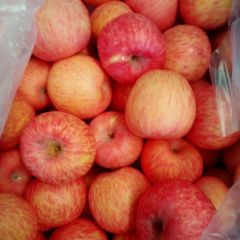 白水苹果 冷库货天始出库