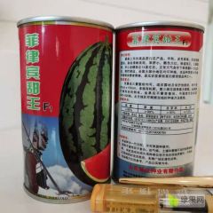 2021年最好的甜王种子菲律宾甜王西瓜种子