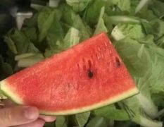 万亩原籽西瓜基地供应，欢迎各位老板实地考察！