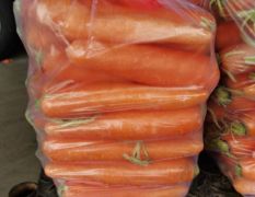 武汉市四季美农贸市场专业代销，红萝卜莴苣。每天吞吐货量