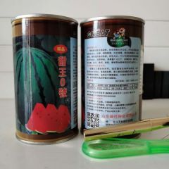 2021年最早熟最甜的甜王西瓜种子，