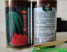 2021年最早熟最甜的甜王西瓜种子，