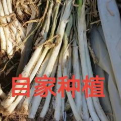 山东长白 自家种植 量大质优 纯白45以上