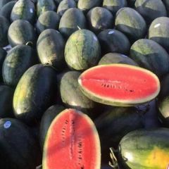 越南进口黑美人西瓜大量供应