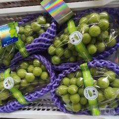 陕西冷库阳光玫瑰价格，晴王葡萄批发