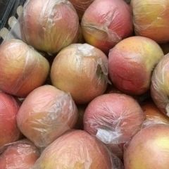 山东冠县膜袋红富士苹果