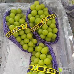 阳光玫瑰晴王葡萄巨峰葡萄14730338689