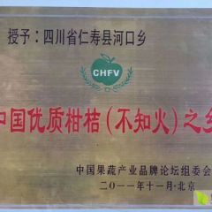 柑橘种植户农户