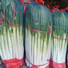 常年收购大葱并加工净葱