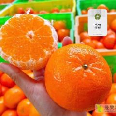 丽江高原沃柑源头果园