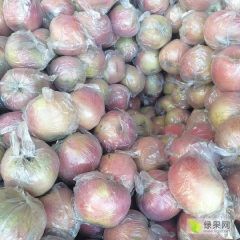 膜代红富士苹果 口感脆甜多汁