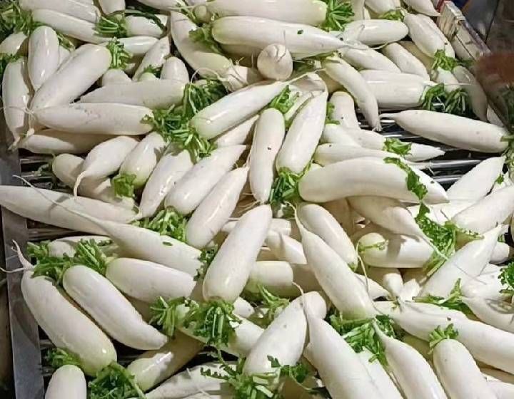 周涛电 话:湖北万亩蔬菜基地值供,白菜,甘兰,萝卜品种齐全,量大质优