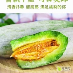 山东省 潍坊市羊角蜜甜瓜