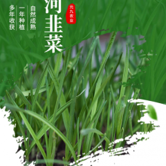 香河韭菜,中国国家地理标志商标