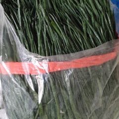 谁要加工厂香葱价格低