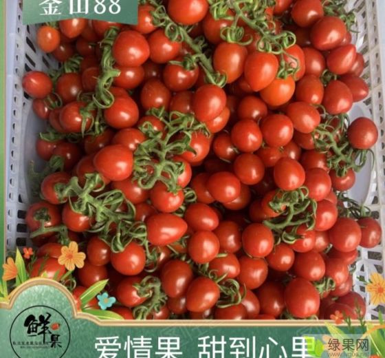 2024年山东莘县釜山88价格