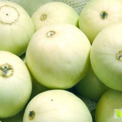 金乡城南甜瓜鲜瓜及鲜葡萄常年4-6月大量上市