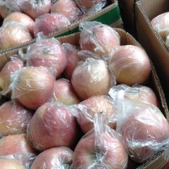 太行山红富士优质苹果