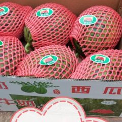 砀山礼品西瓜，早春红玉西瓜，牛奶爆瓜，甜王，美都，大量上