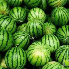 8424欢迎各位老板来采购货源充足质量放心