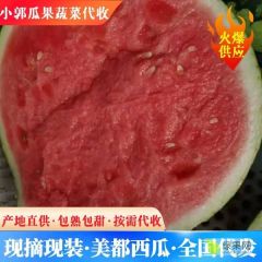 陕西大棚直生苗无籽美都