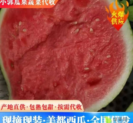 美都价格
