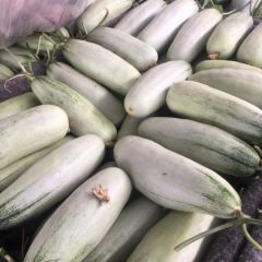 博洋61.9号大量有货