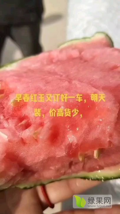 地雷瓜价格