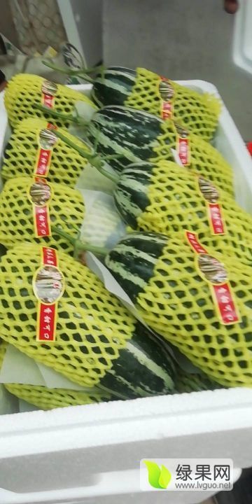 2022年山东齐河羊角蜜价格