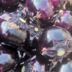 山东聊城精品紫光园茄代收