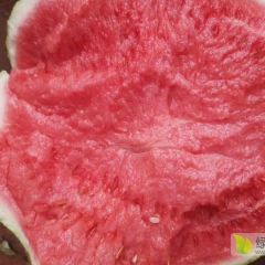 大棚西瓜大量上市，全国代发，需要的朋友欢迎前来选购