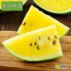 天津市蓟州区新一代黄瓤西瓜，黄贵妃种子供应