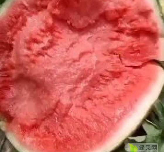 2022年安徽砀山8424西瓜价格