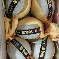 大量供应各种薄皮甜瓜，以及厚皮甜瓜